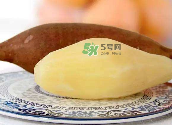 雪蓮果是地瓜嗎？雪蓮果和紅薯的區(qū)別