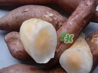 雪蓮果是地瓜嗎？雪蓮果和紅薯的區(qū)別