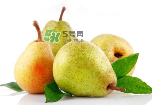 梨子是什么季節(jié)的水果？梨子什么季節(jié)吃最好