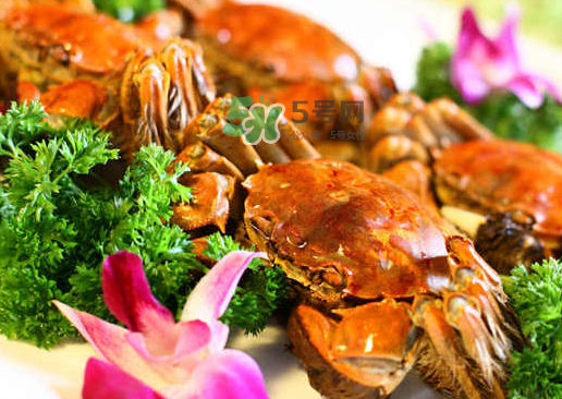 螃蟹的腿掉了還會長嗎？ 螃蟹腿掉了還能再長出來嗎？