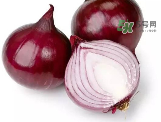 皮芽子是什么東西？皮芽子怎么做好吃