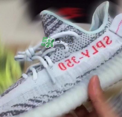 yeezy boost 350 v2 blue tint藍斑馬實物怎么樣？椰子藍斑馬實物曝光