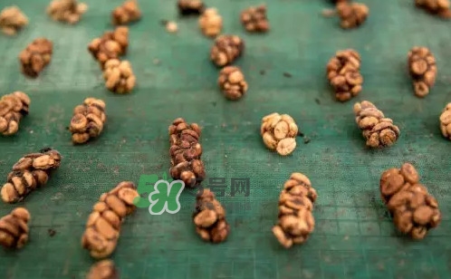 貓屎咖啡是怎么來的？貓屎咖啡的由來