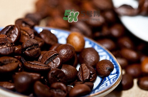 貓屎咖啡是貓屎做的嗎？貓屎咖啡是什么貓的屎