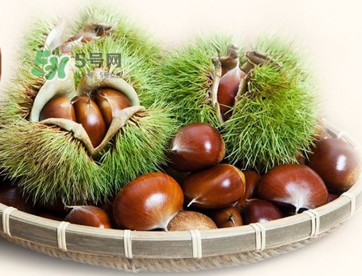 羅田是中國(guó)板栗之都嗎？羅田板栗什么時(shí)候成熟