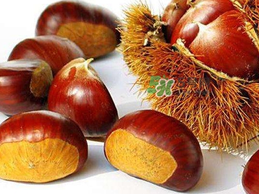 羅田是中國(guó)板栗之都嗎？羅田板栗什么時(shí)候成熟