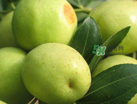 梨棗和冬棗哪個大？梨棗和冬棗的區(qū)別