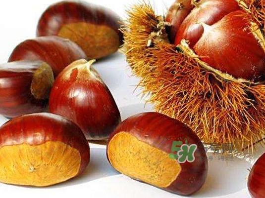 板栗什么時(shí)候上市？板栗什么人不能吃