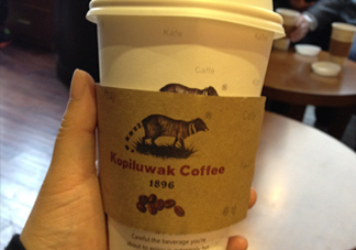 貓屎咖啡多少錢一杯？貓屎咖啡多少錢一斤