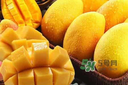 孕晚期能吃芒果嗎？孕晚期吃了很多芒果對胎兒好嗎？