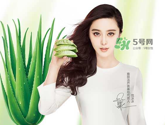 雅麗潔是正規(guī)牌子嗎_雅麗潔是屬于幾線品牌_誰(shuí)代言的 雅麗潔是正規(guī)牌子嗎_雅麗潔是屬于幾線品牌_誰(shuí)代言的