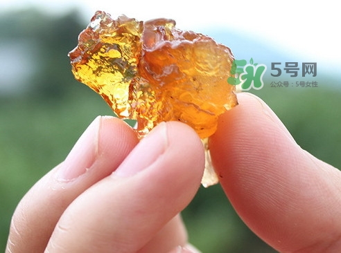 桃膠有假的嗎？如何分辨桃膠真假