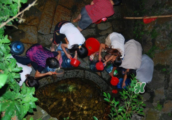 七夕水為什么不會壞？七夕水科學(xué)解釋