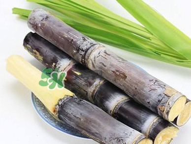 甘蔗什么時(shí)候成熟？甘蔗什么時(shí)候上市