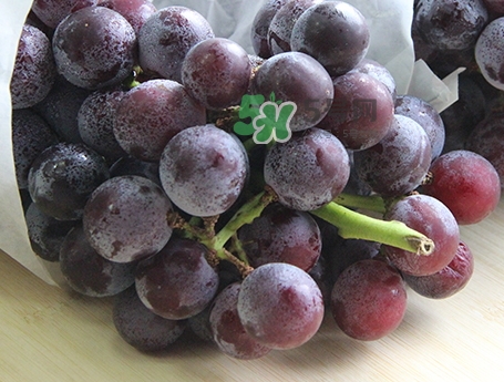 葡萄皮可以敷臉嗎_葡萄皮可以擦臉嗎 葡萄皮可以敷臉嗎_葡萄皮可以擦臉嗎