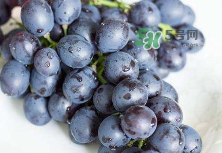 葡萄皮上的白霜是什么_葡萄皮上的白霜怎么洗掉 葡萄皮上的白霜是什么_葡萄皮上的白霜怎么洗掉