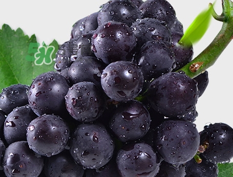 葡萄皮上的白霜是什么_葡萄皮上的白霜怎么洗掉 葡萄皮上的白霜是什么_葡萄皮上的白霜怎么洗掉