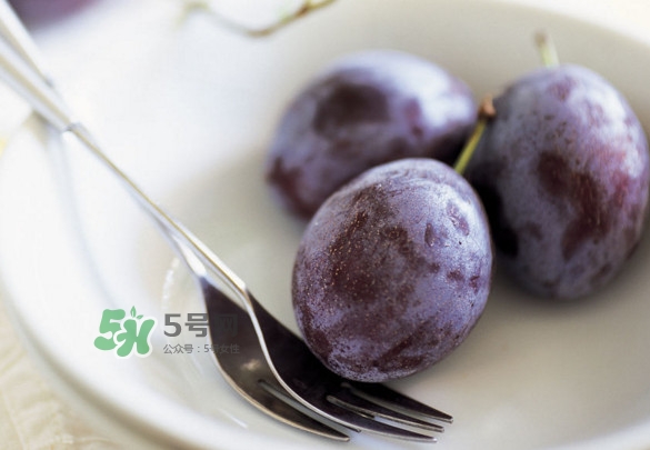 西梅怎么挑選？新鮮西梅怎么保存