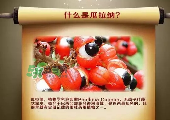 黑卡飲料多少錢(qián)一瓶？黑卡6小時(shí)價(jià)格表