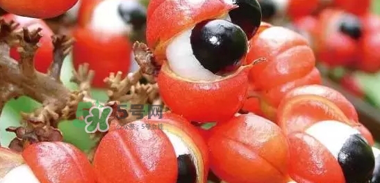 黑卡飲料多少錢(qián)一瓶？黑卡6小時(shí)價(jià)格表