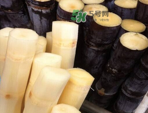 甘蔗是哪里的特產(chǎn)？甘蔗是什么地方的特產(chǎn)