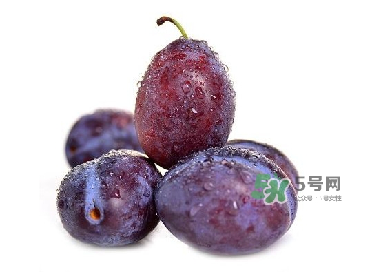 西梅怎么挑選？新鮮西梅怎么保存