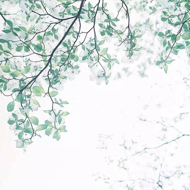 這世上，只有一種男人不會(huì)出軌