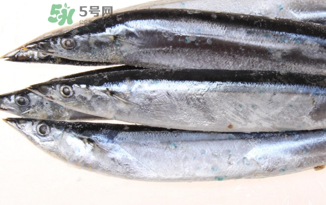 秋刀魚是海魚嗎？秋刀魚是淡水魚還是海魚