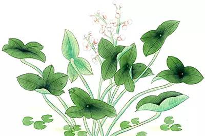 一個(gè)短信幫學(xué)員挽回妹紙 學(xué)長一對(duì)一指導(dǎo)案例 一個(gè)短信幫學(xué)員挽回妹紙 學(xué)長一對(duì)一指導(dǎo)案例