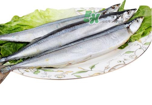 秋刀魚是海魚嗎？秋刀魚是淡水魚還是海魚