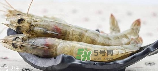 厄瓜多爾蝦的儲存方法 厄瓜多爾蝦可以放冰箱嗎 厄瓜多爾蝦的儲存方法 厄瓜多爾蝦可以放冰箱嗎