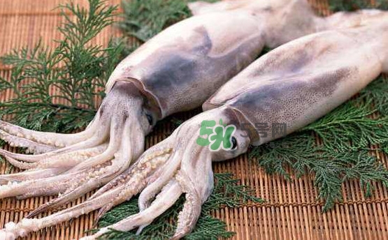 魷魚(yú)和雞蛋可以同時(shí)食用？魷魚(yú)不能和什么一起吃