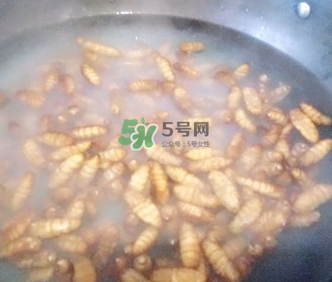 蜂蛹怎么保存？蜂蛹怎么做好吃？