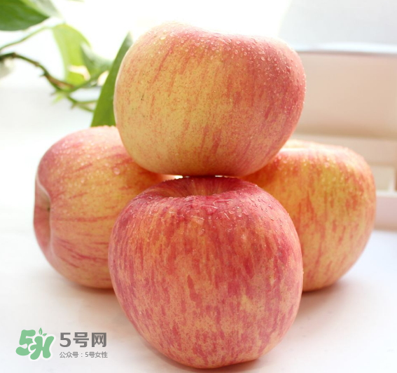 蘋果種類有哪些？蘋果種類哪種最好