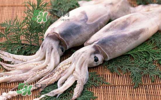 魷魚是海魚嗎？魷魚怎么炒好吃