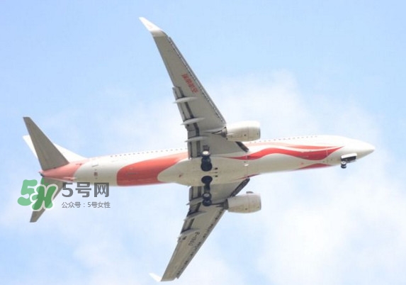 魷魚(yú)絲可以帶上飛機(jī)嗎？魷魚(yú)絲能帶上飛機(jī)嗎