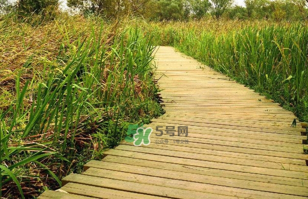 心碎綜合癥是抑郁癥嗎？心碎綜合癥怎么治療