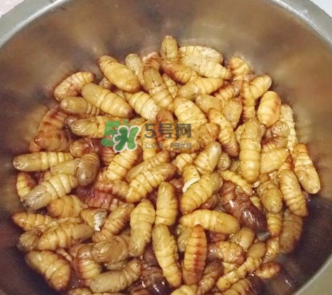 蜂蛹怎么保存？蜂蛹怎么做好吃？