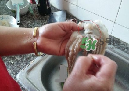 魷魚是堿性食物嗎？魷魚是酸性還是堿性？