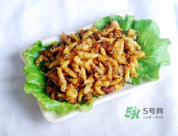 蜂蛹怎么保存？蜂蛹怎么做好吃？