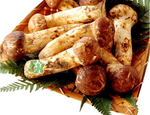 干松茸要泡多久？干松茸用冷水泡還是溫水泡好