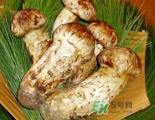 新鮮松茸怎么清洗？新鮮松茸怎么處理