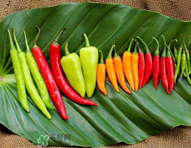 辣椒炒雞蛋的熱量是多少？辣椒能減肥嗎？