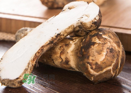 新鮮松茸怎么挑選？干松茸如何挑選