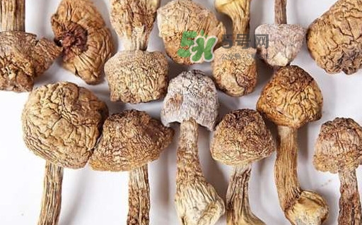 干松茸怎么清洗?干松茸如何辨別真?zhèn)? alt=