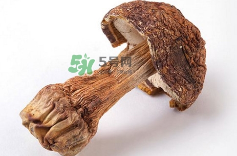 產(chǎn)婦能吃松茸嗎？哺乳期可以吃松茸嗎