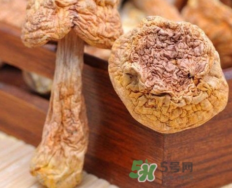 干松茸怎么清洗?干松茸如何辨別真?zhèn)? alt=