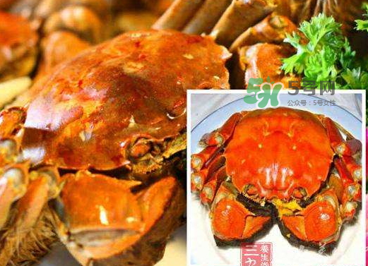 紅印蟹怎么回事？紅印蟹有什么不同？