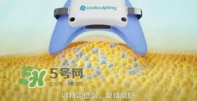 酷塑溶脂效果對(duì)比圖片 酷塑溶脂全過(guò)程記錄 酷塑溶脂效果對(duì)比圖片 酷塑溶脂全過(guò)程記錄