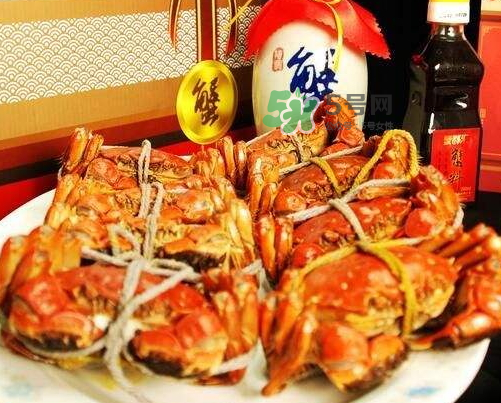 紅印蟹是什么_紅印蟹哪里買_紅印蟹什么時候上市 紅印蟹是什么_紅印蟹哪里買_紅印蟹什么時候上市